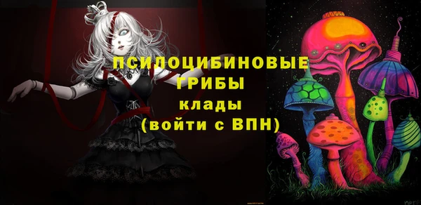 эйфоретик Алексин