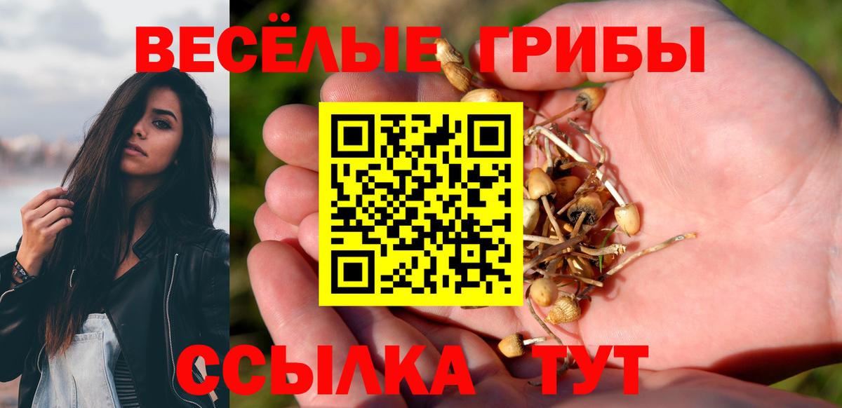 Тосно  Псилоцибиновые грибы MAGIC MUSHROOMS  где купить наркотик  Вход с VPN 